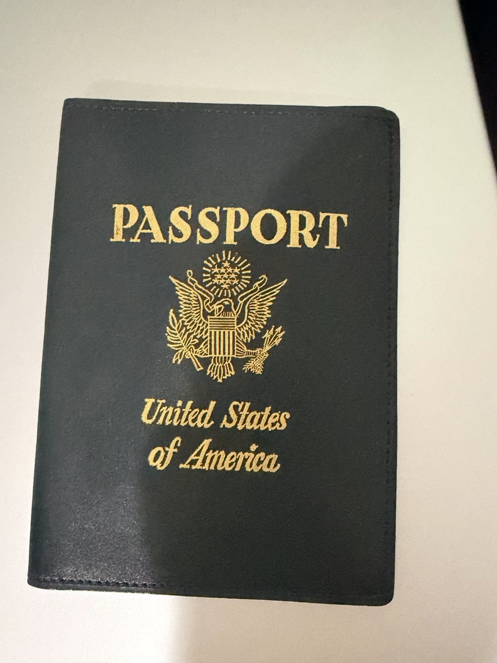 Passport Cover with Gold Crest - Travel Wallet